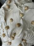 Nocciola